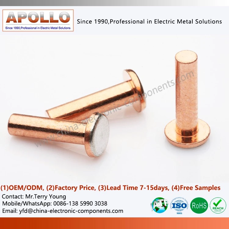 Bimetal Contact Rivet best