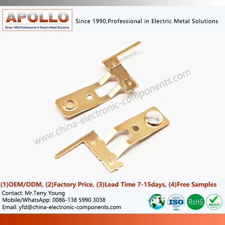 Beryllium Copper Stamping Spring