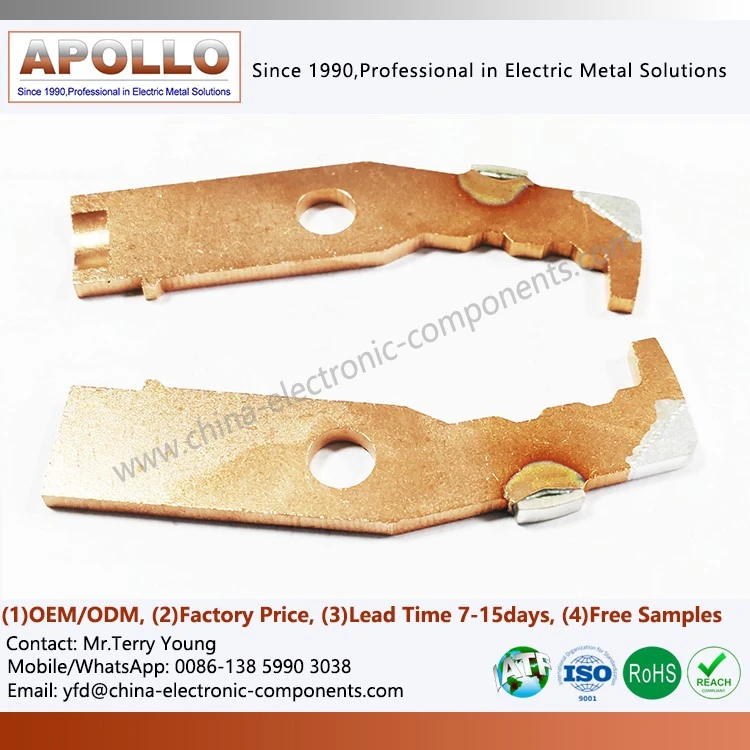 Silver Contact Terminal Assembly Silver Contact Terminal Assembly