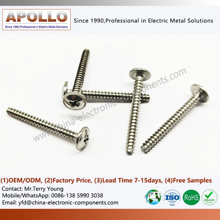 Cross Recessed Screw Cross Recessed Screw
