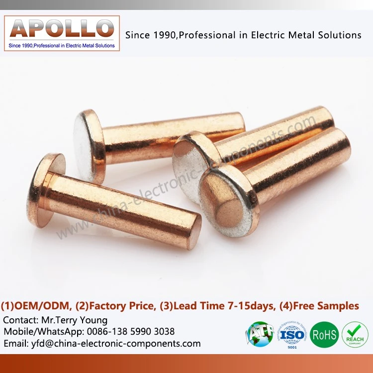 Bimetal Contact Rivet Bimetal Contact Rivet