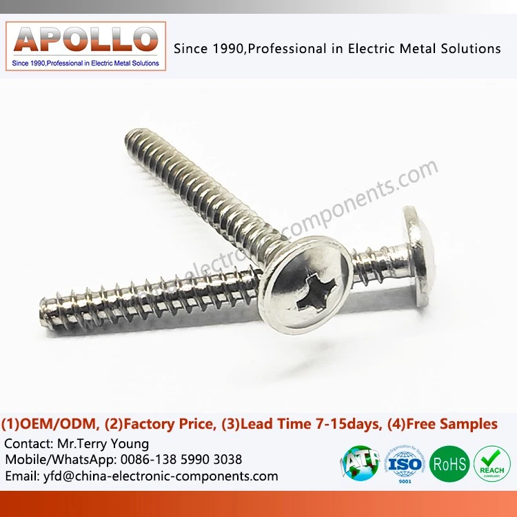 Self-Threading Screw