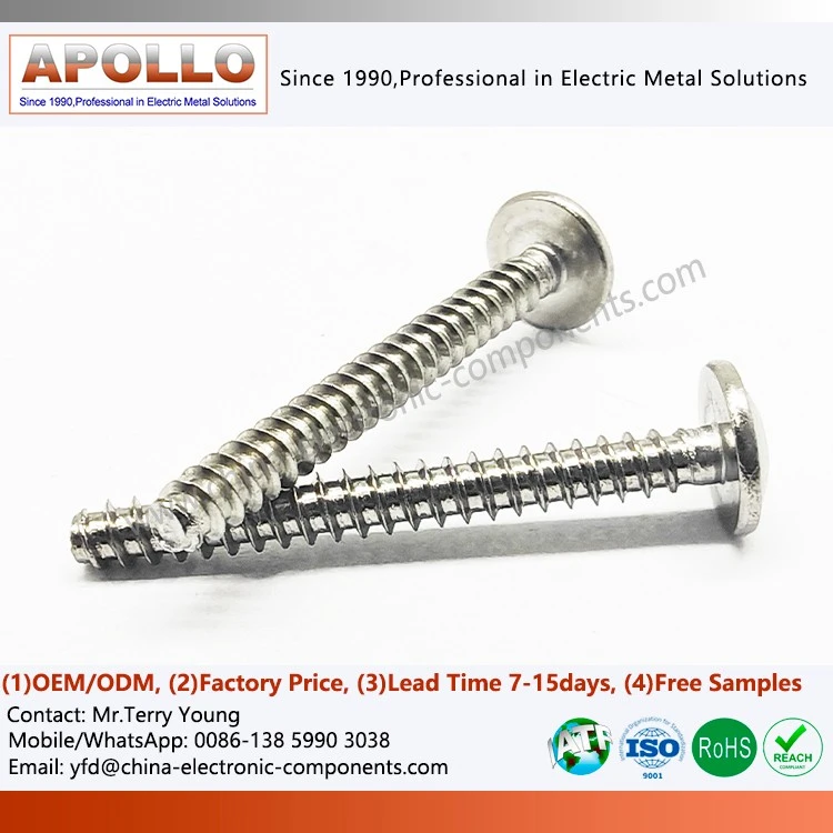 Self-Tapping Screw